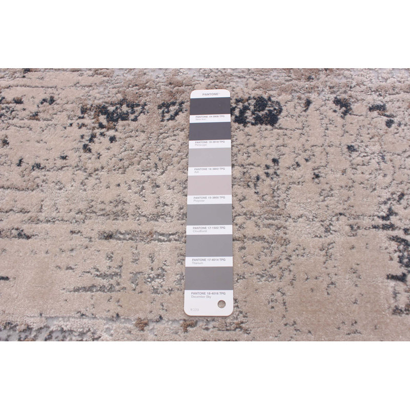 Indoor Rug, Rectangle 3'11" x 5'11"