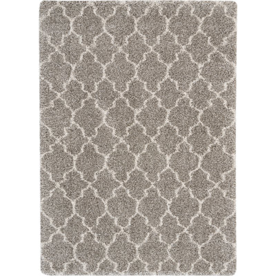 Youn Moroccan Indoor Rug