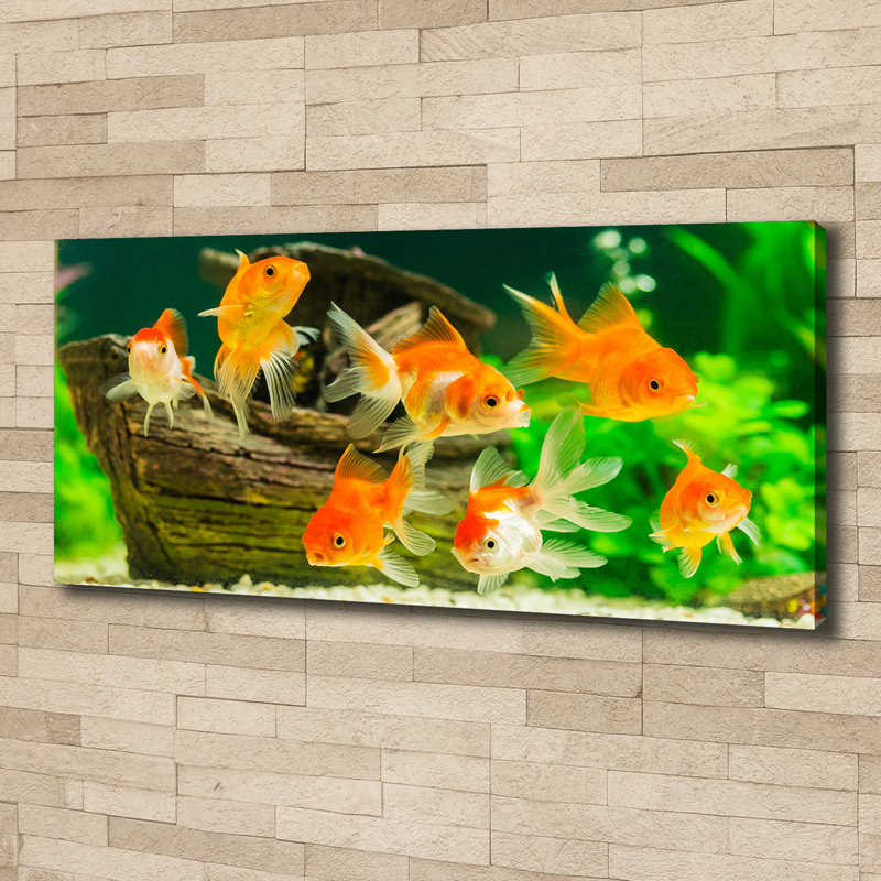 Gold Fish - No Frame Print on Canvas