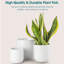 HDHPOT Ceramic Pot Planter-1607730066