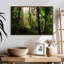 Forêt nationale d'El Yunque-1600144677-1600144680