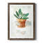 Sauge en pot - peinture-426400179-426400183