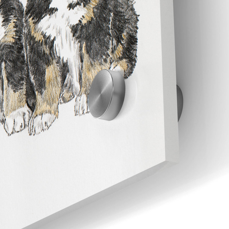 «Bernese Mountain Dog» par Barbara Keith - impression non encadrée, H 24 po x l 48 po x P 0,2 po