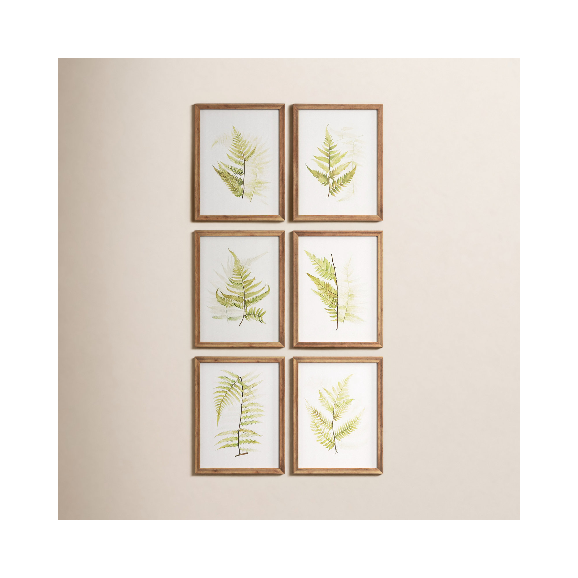 Eifa Watercolor Fern Study Prints, Set of 6