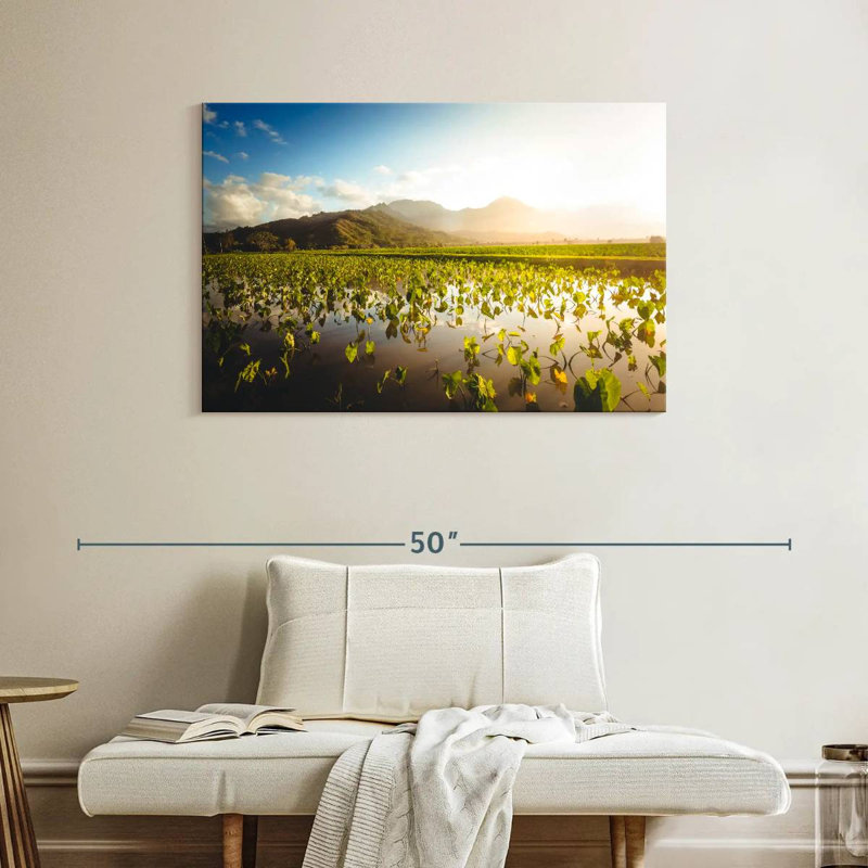 Alvord Taro Farm, 26" H x 39" W