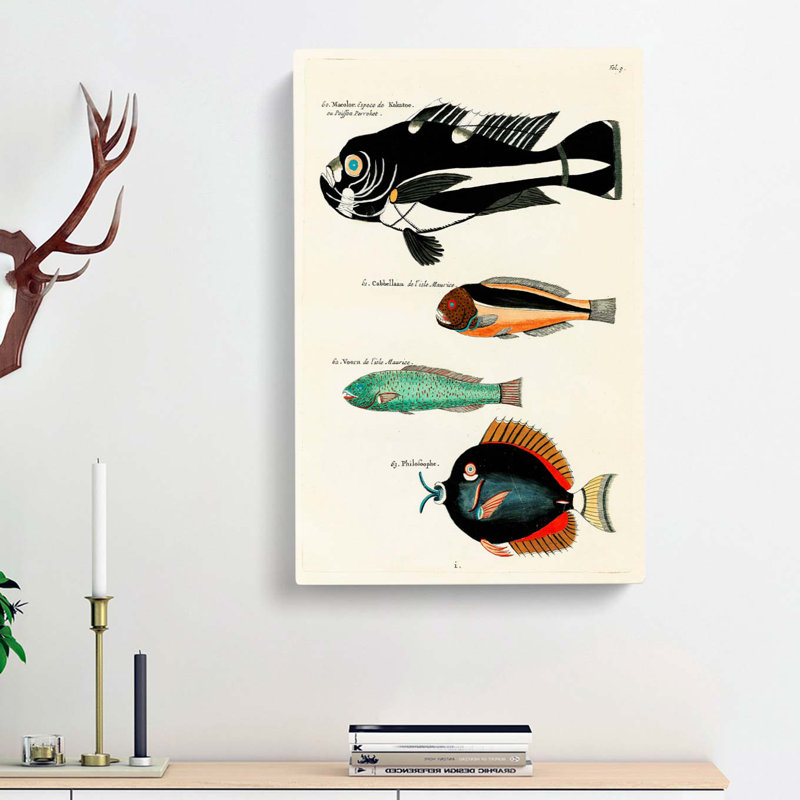 East Indies Fish Illustrations Fol. 9 by Louis Renard - Wrapped Canvas, 76cm H x 50cm W x 3cm D