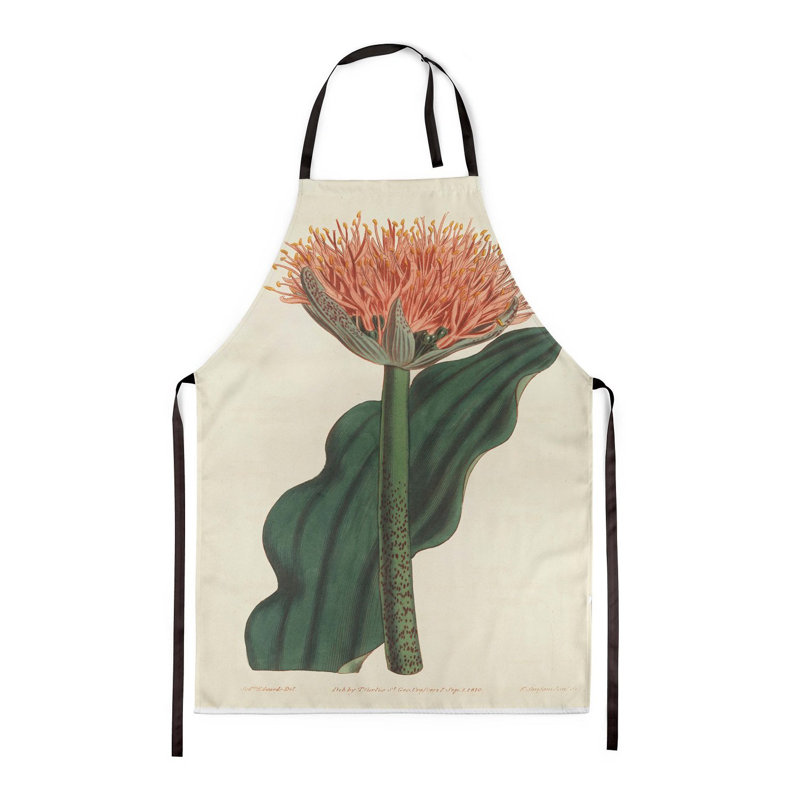 Paintbrush Lily - Botanical Aprons