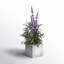 Arrangement floral lavande en pot