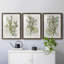 Coral Blockprint I - ensemble de 3 reproductions de cadres photo-427407387-427407362