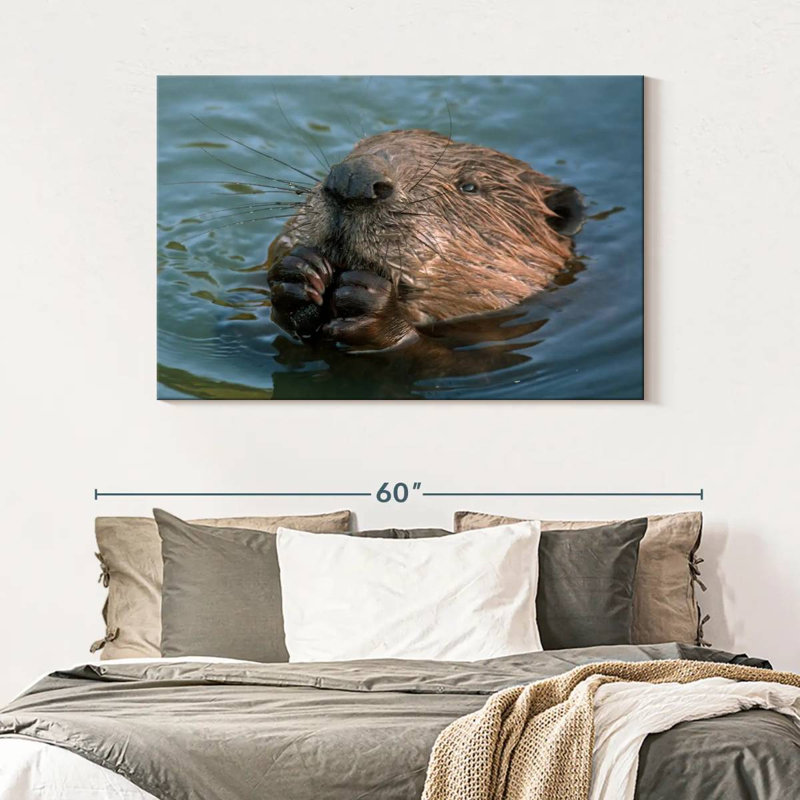 Brampt Beaver In The Water, 32'' H x 48'' W