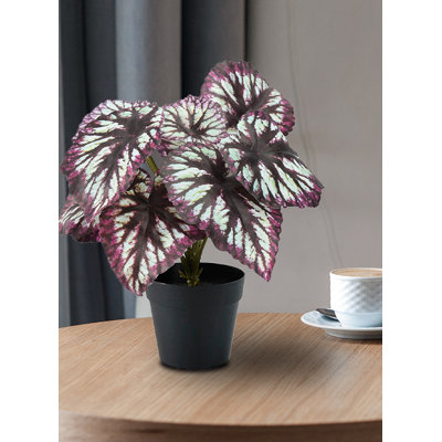 13'' Faux Begonia Cathayana Plant in Pot