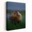 Art contemporain, lion sauvage-129005575