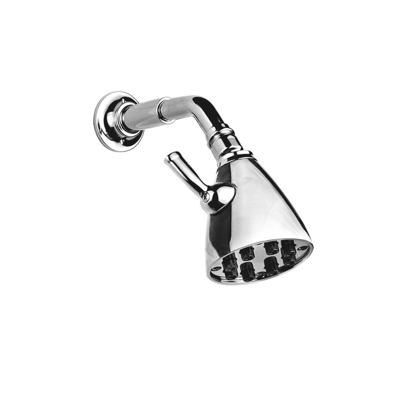 Eight Jet Brunswick Adjustable Shower Head, Polished Chrome