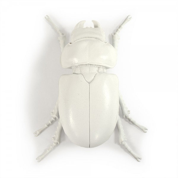 Beetle Resin Wall Decor
