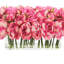 Peonies Arranged in a Glass Vase-1218887326