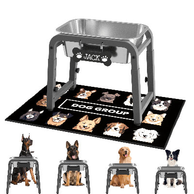 GREY 4-Level Height -Adjustable Feeder with 1.2GAL  Stainless Steel bowl & Custom Dog Tag & Splash Mat