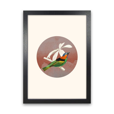Bird Collage II - Print