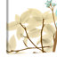 Desert Bloom 2 - Wrapped Canvas Print-896672497
