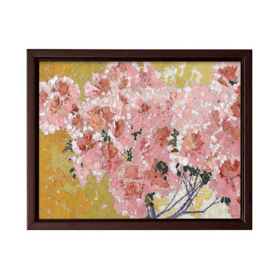 Blooming Azaleas