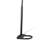 Satin Black Five-Light Floor Lamp
