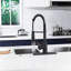 Robinet de cuisine rétractable avec accessoires FORIUS-76425215