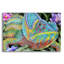  «Chameleon 2» par Tim Jeffs, art mural en verre acrylique-668084186