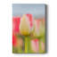 Twotone tulipe - galerie Cavas sur mesure-1089690796