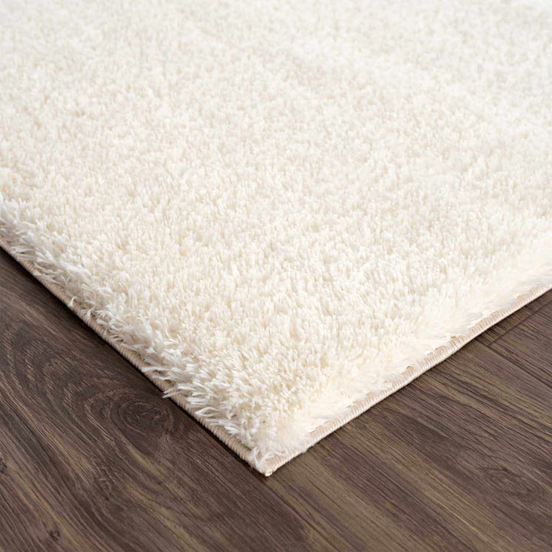 Tapis à poils longs Cleta, Rectangle 2 pi x 3 pi
