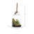9'' Faux Succulent in Glass Jar