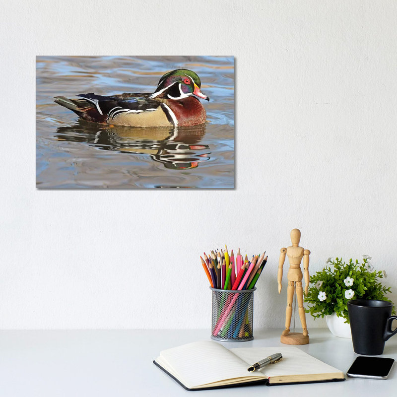 Wood Duck Drake by Brian Wolf - Wrapped Canvas Gallery-Wrapped Canvas Giclée, 20.32 cm H x 30.48 cm W