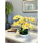 Arrangement de fleurs d'orchidée en polysilk Cairo en pot-29899771