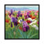 « early juin », reproduction d’art sur toile tendue-20146763-72573801-72573802