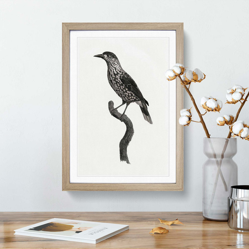 Nutcracker Bird by Jacques Barraband - Picture Frame Painting Print, 65cm H x 48cm W x 2cm D, Oak Framed