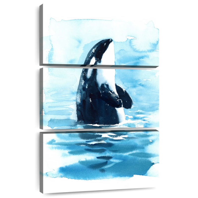 Ocean Surface Orca