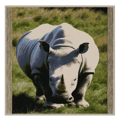  Tapis blanc lavable Rhinoceros