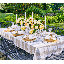 Dreamweaver Placemat-1078582324