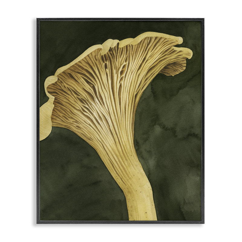 «Chantarelle Mushroom Sprout», estampe numérique, design de Grace Popp, H 20 po x l 16 po, Giclée encadrée noir minuit