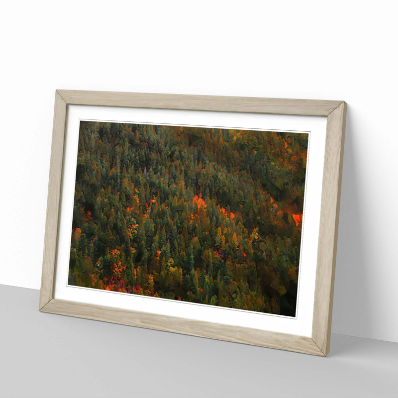 Autumn Forest in Switzerland - Picture Frame Graphic Art Print, 36cm H x 48cm W x 2cm D, Oak Framed