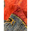 Geometric Area Rug in Red