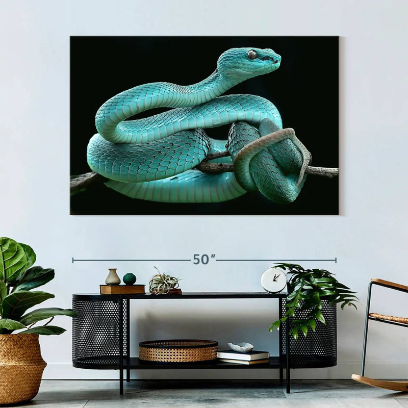 Brampt Blue Pit Viper, 34" H x 51" W