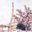 Toile encadrée Paris et Eiffel