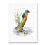 « kingfisher », reproduction d’impression sur toile tendue-21937642