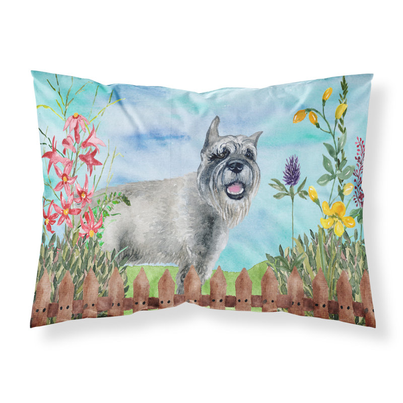 Alaskan Microfiber, Schnauzer