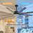 Carlinda 65'' Ceiling Fan with LED Lights
