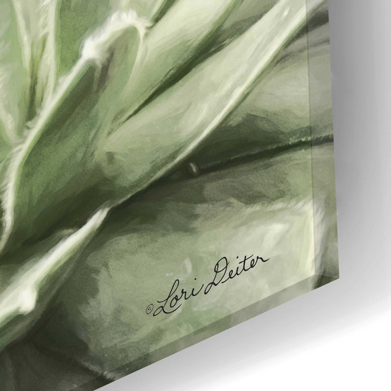 «Soft Succulents I» par Lori Deiter, art mural en verre acrylique, H 12 po x l 24 po x P 0,2 po