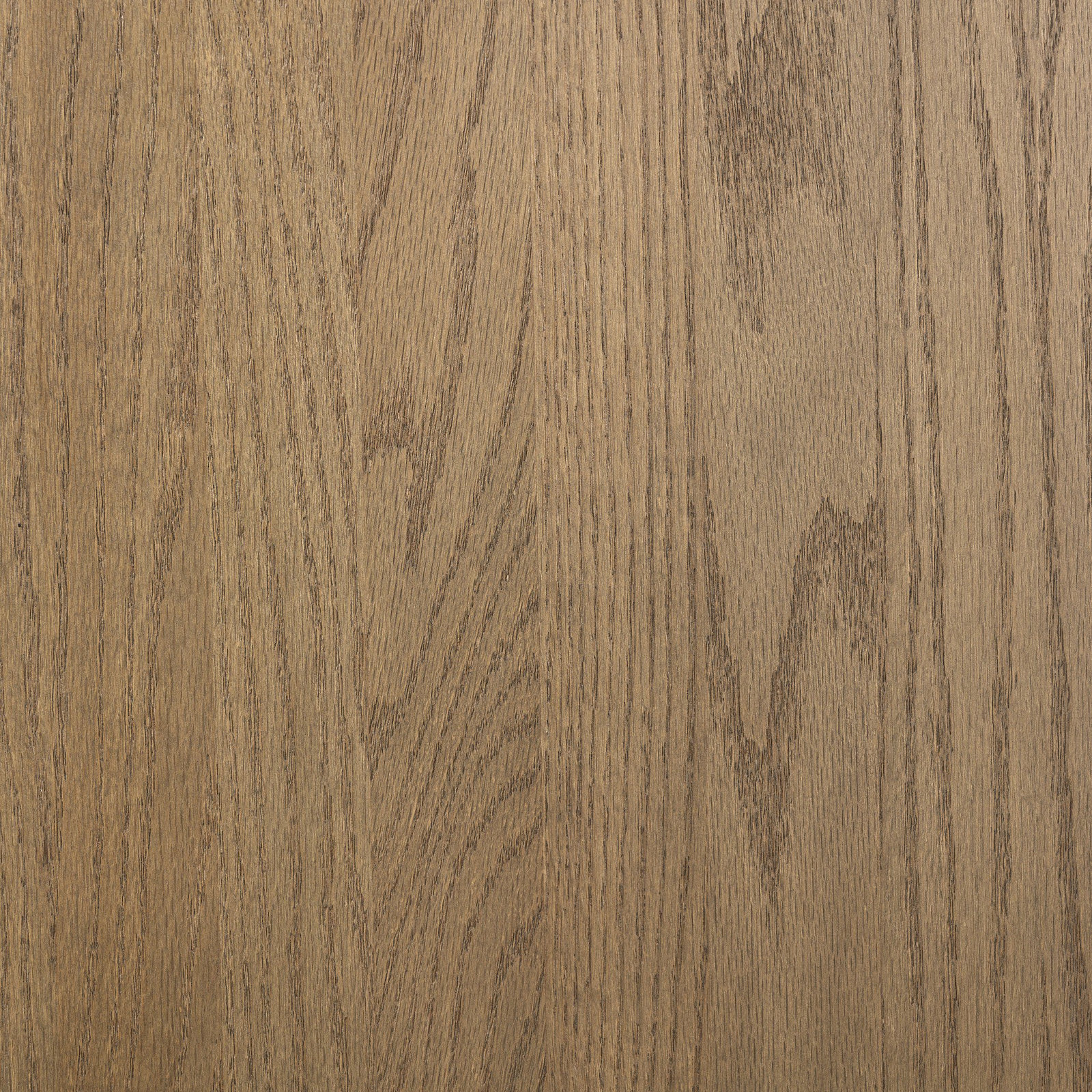 Errol Standard Bookcase, Veneer