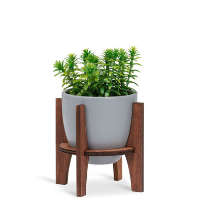 Ecaterina Ceramic Pot Planter