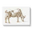 Study Of A Cow by Jean Bernard - Wrapped Canvas Print-55318035