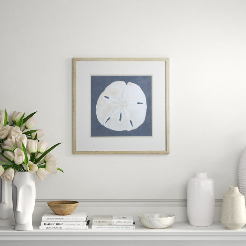 Shell On Slate II Print by Meagher