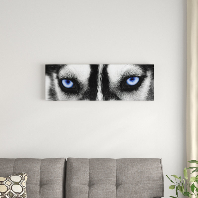«Husky Eyes», impression sur toile, H 12 po x l 36 po x P 1,5 po, Toile avec cadre noir